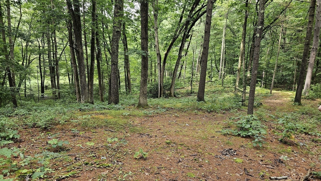 723 Ryan Road Northampton, MA 01062 - Photo 7 of 10