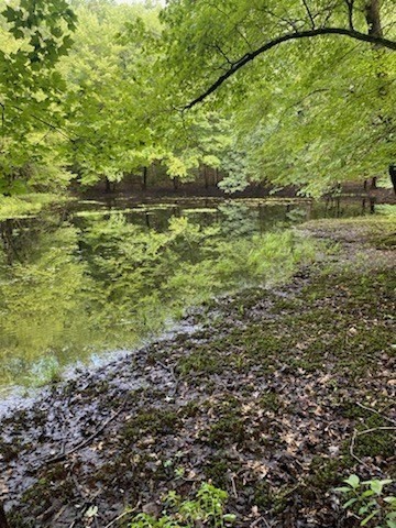 723 Ryan Road Northampton, MA 01062 - Photo 8 of 10