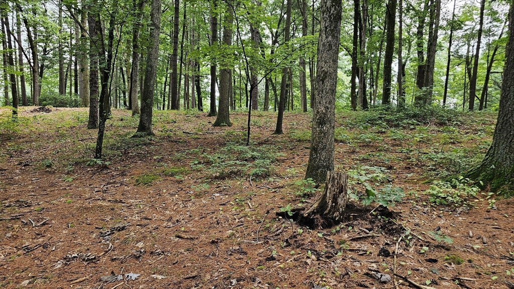 723 Ryan Road Northampton, MA 01062 - Photo 9 of 10