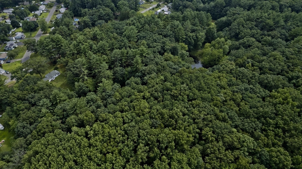 723 Ryan Road Northampton, MA 01062 - Photo 10 of 10