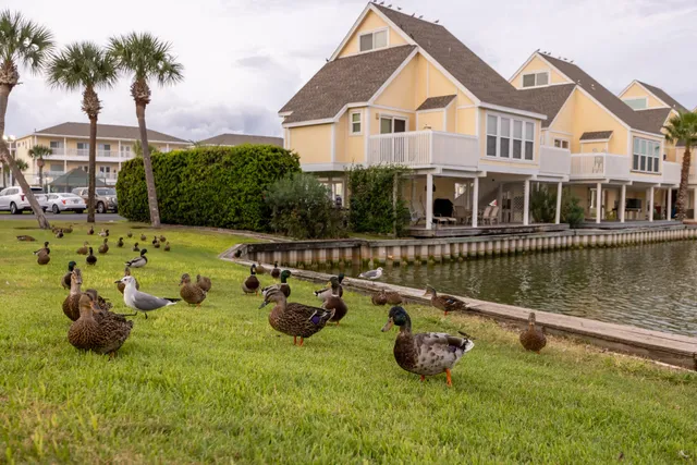 a front view of a house with swimming pool and sitting area