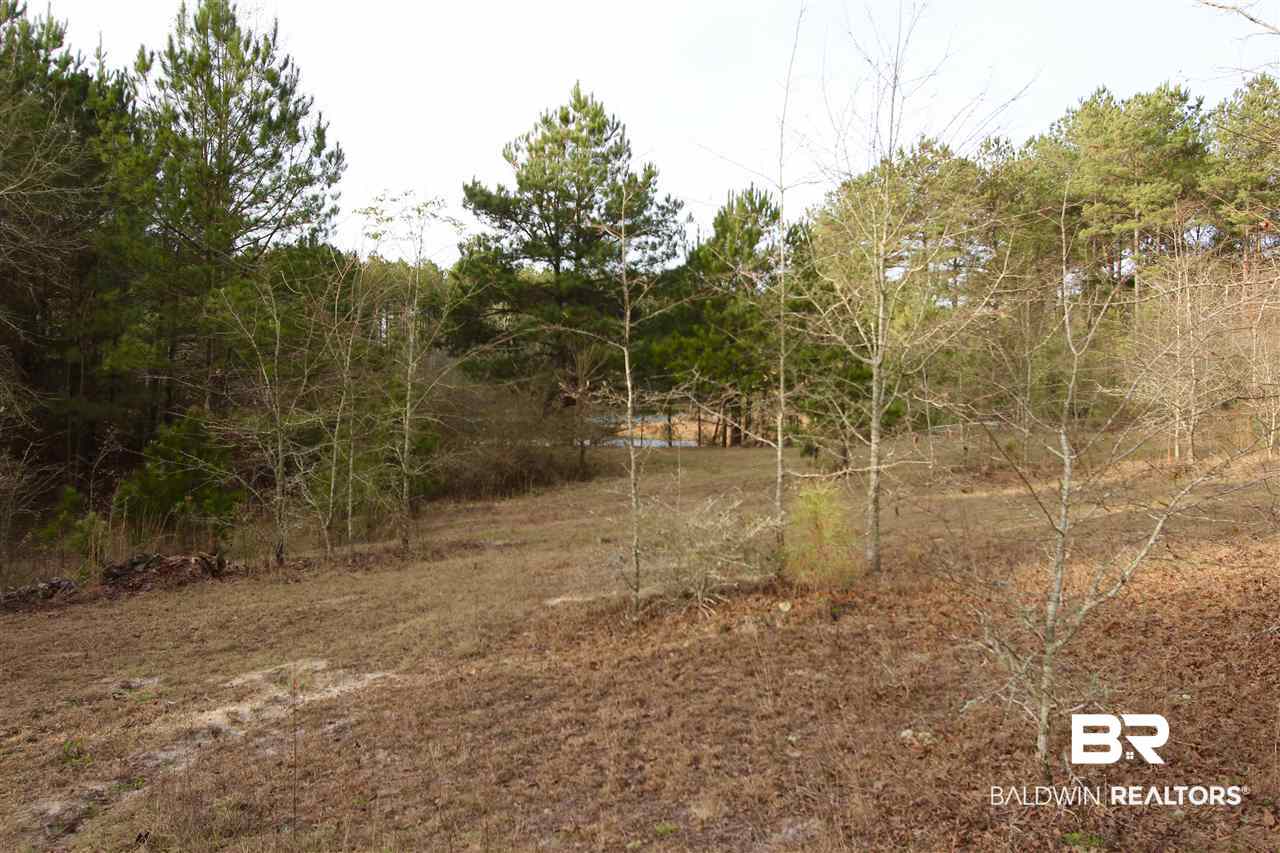 0 Sexton Brg Road Luverne, AL 36049 - Photo 15 of 50