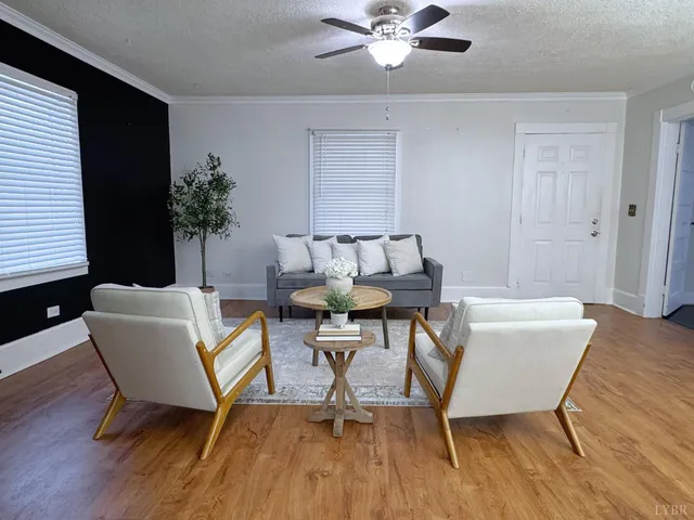 a living room with furniture and a potted plant