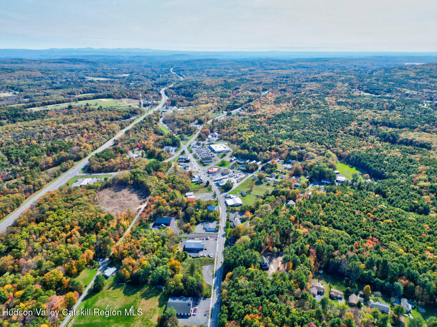 460 Main Street Cairo, NY 12413 - Photo 11 of 71 an aerial view of residential houses with outdoor space and trees
