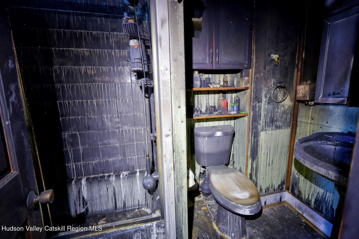 460 Main Street Cairo, NY 12413 - Photo 43 of 71 a bathroom with a toilet a sink and shower