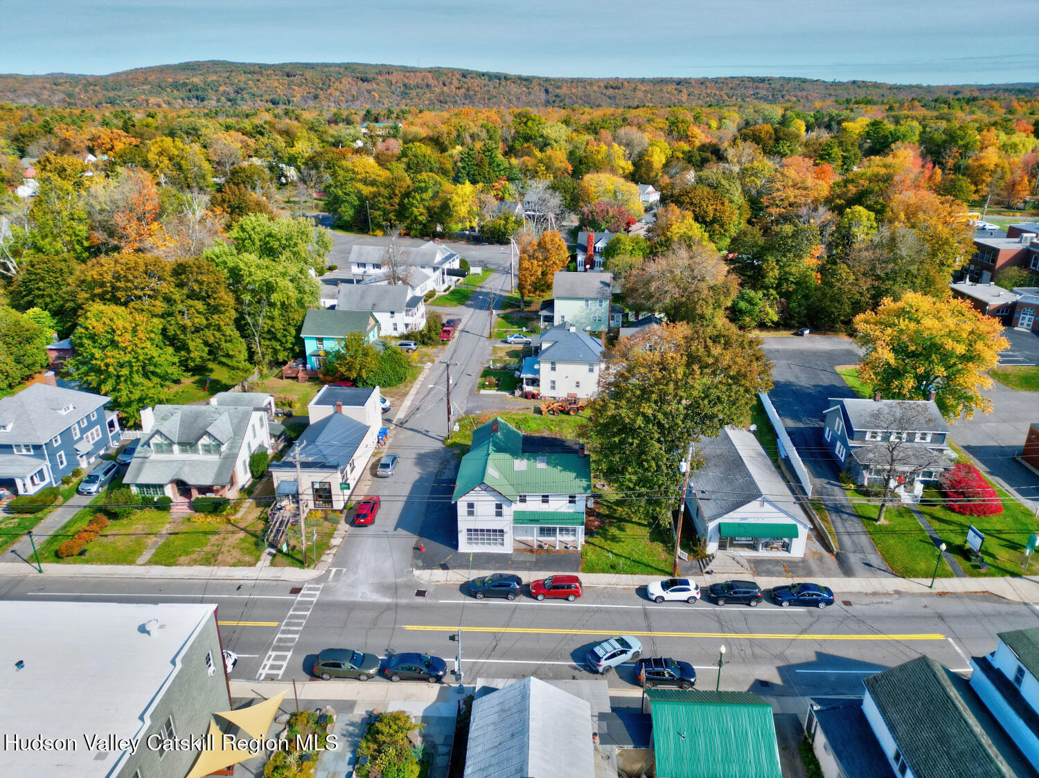 460 Main Street Cairo, NY 12413 - Photo 5 of 71 an aerial view of multiple house