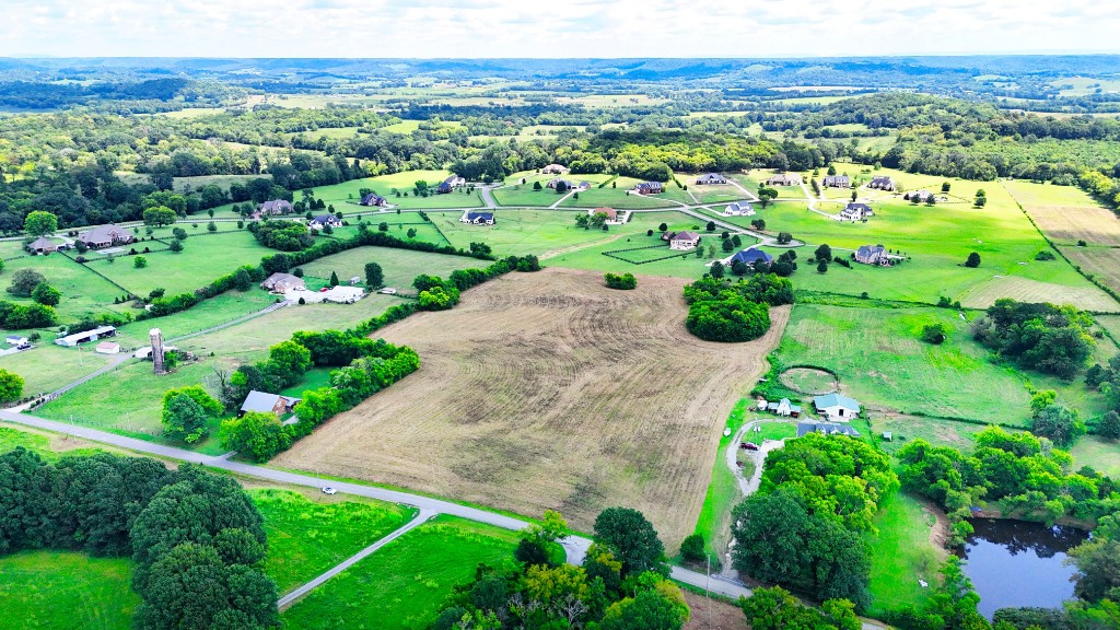 0 Dye Road Bell Buckle, TN 37020 - Photo 4 of 7 Gallery Image 4