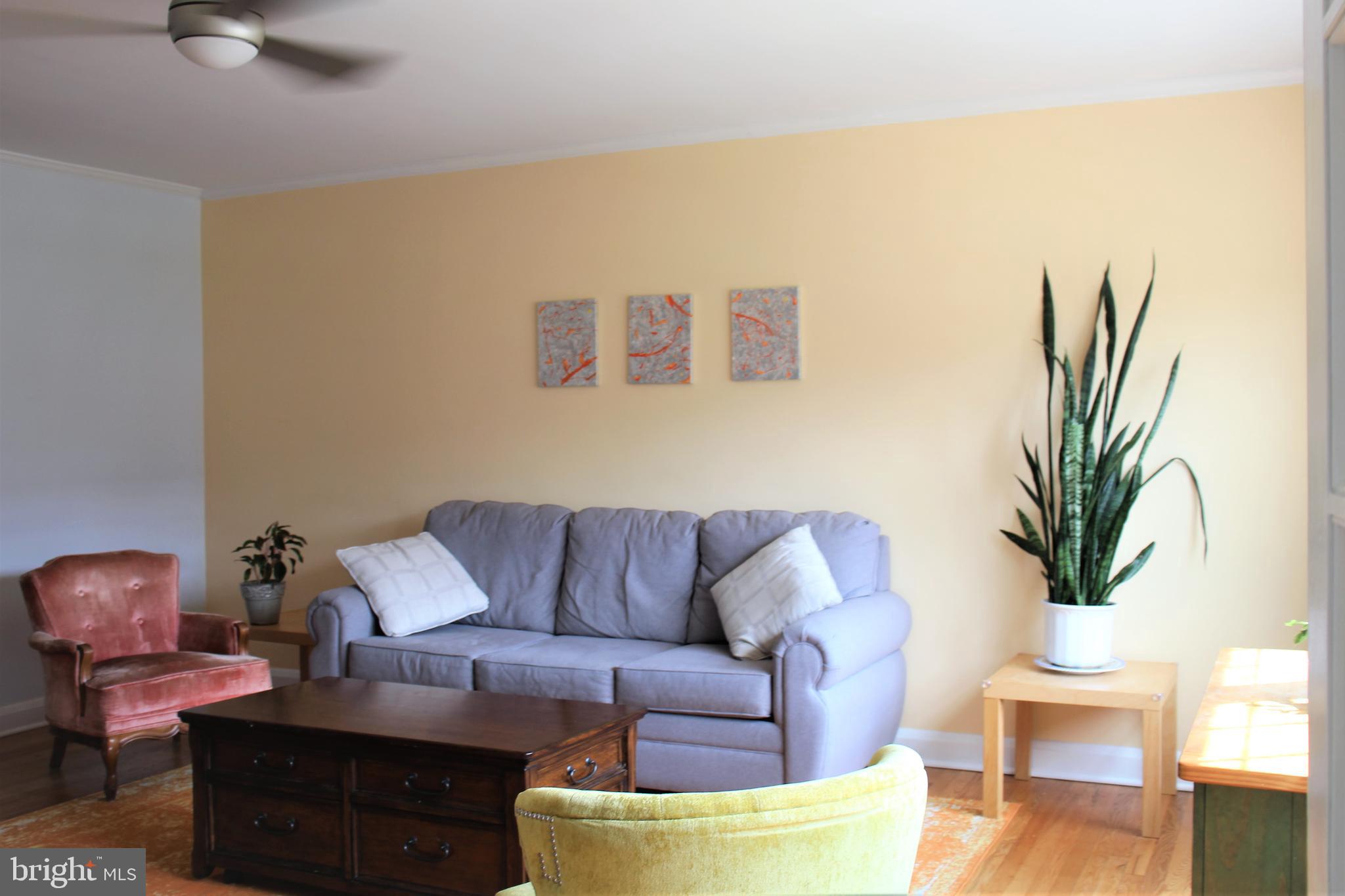 1746 Glen Ridge Road Towson, MD 21286 - Photo 2 of 48 a living room with furniture and a potted plant