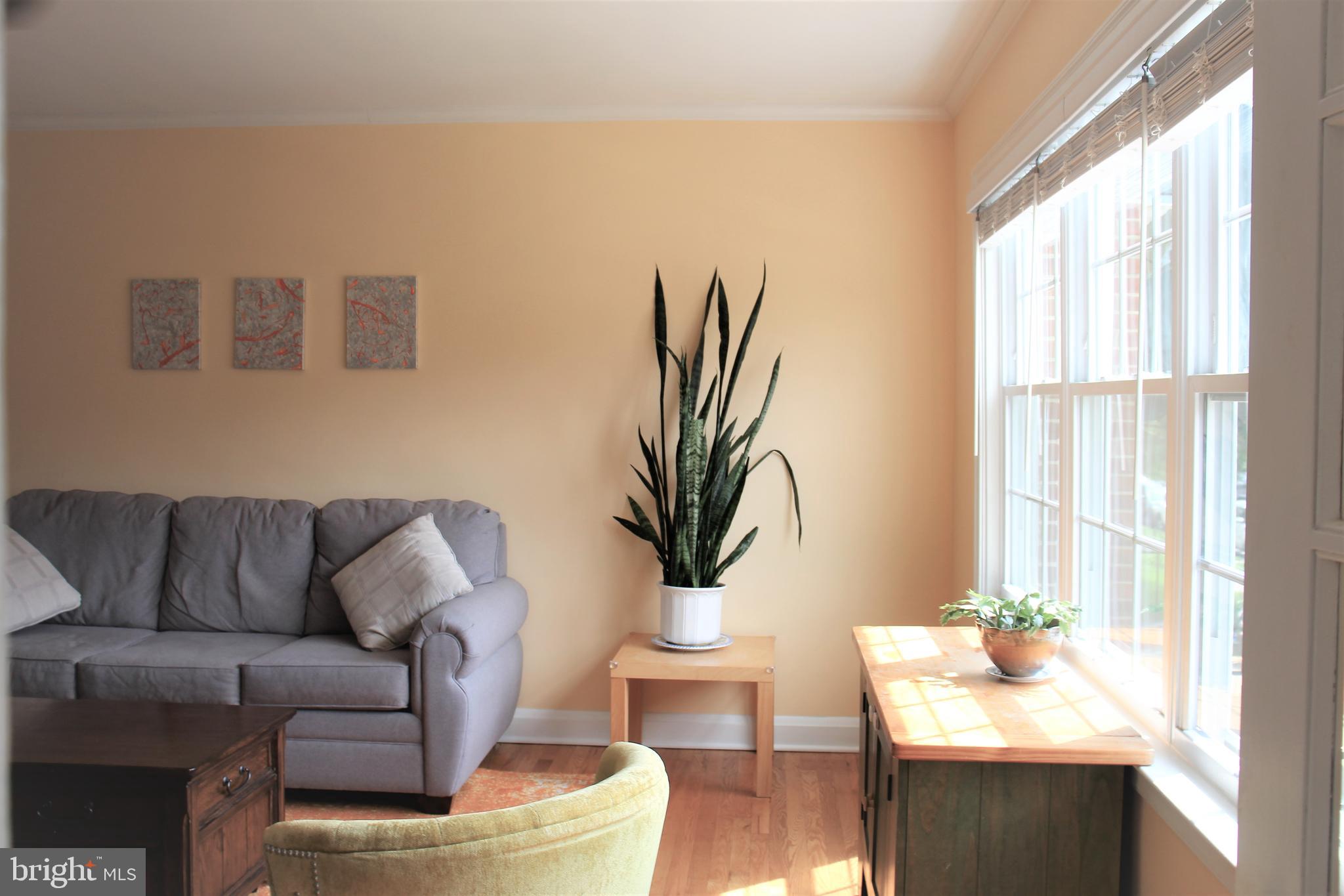 1746 Glen Ridge Road Towson, MD 21286 - Photo 3 of 48 a living room with furniture and a potted plant