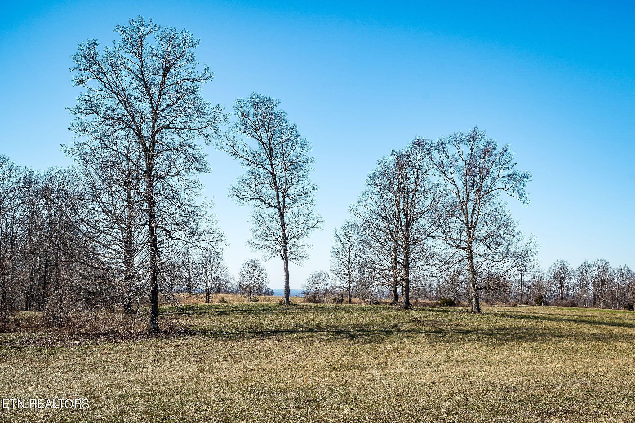 45 Hensley Chapel Road Sparta, TN 38583 - Photo 24 of 29 Gallery Image 24