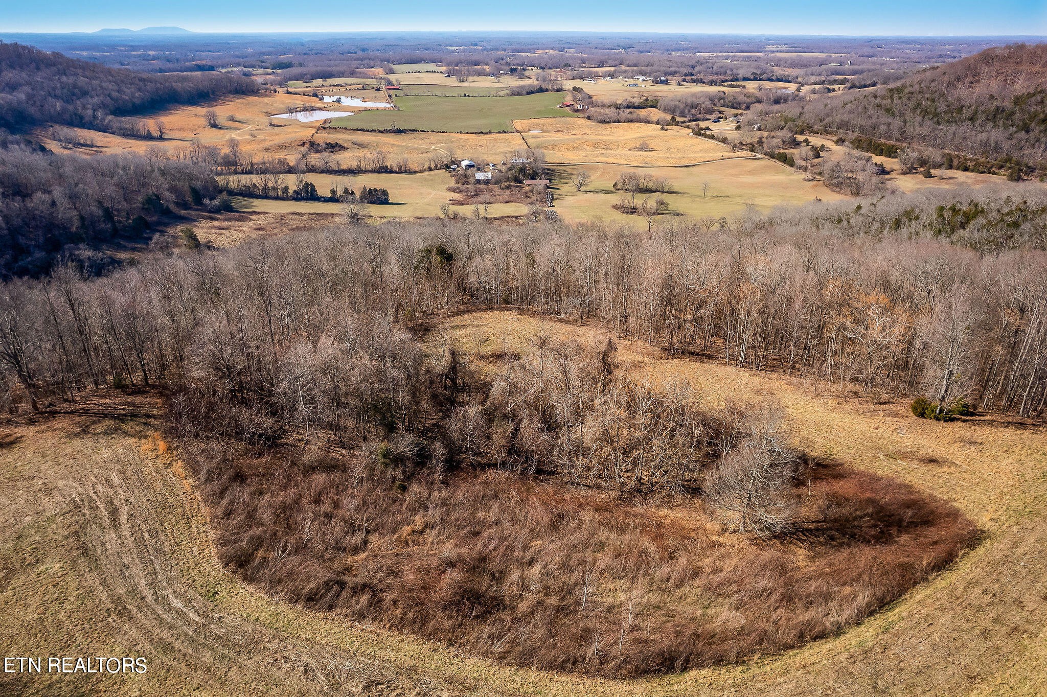 45 Hensley Chapel Road Sparta, TN 38583 - Photo 9 of 29 Gallery Image 9