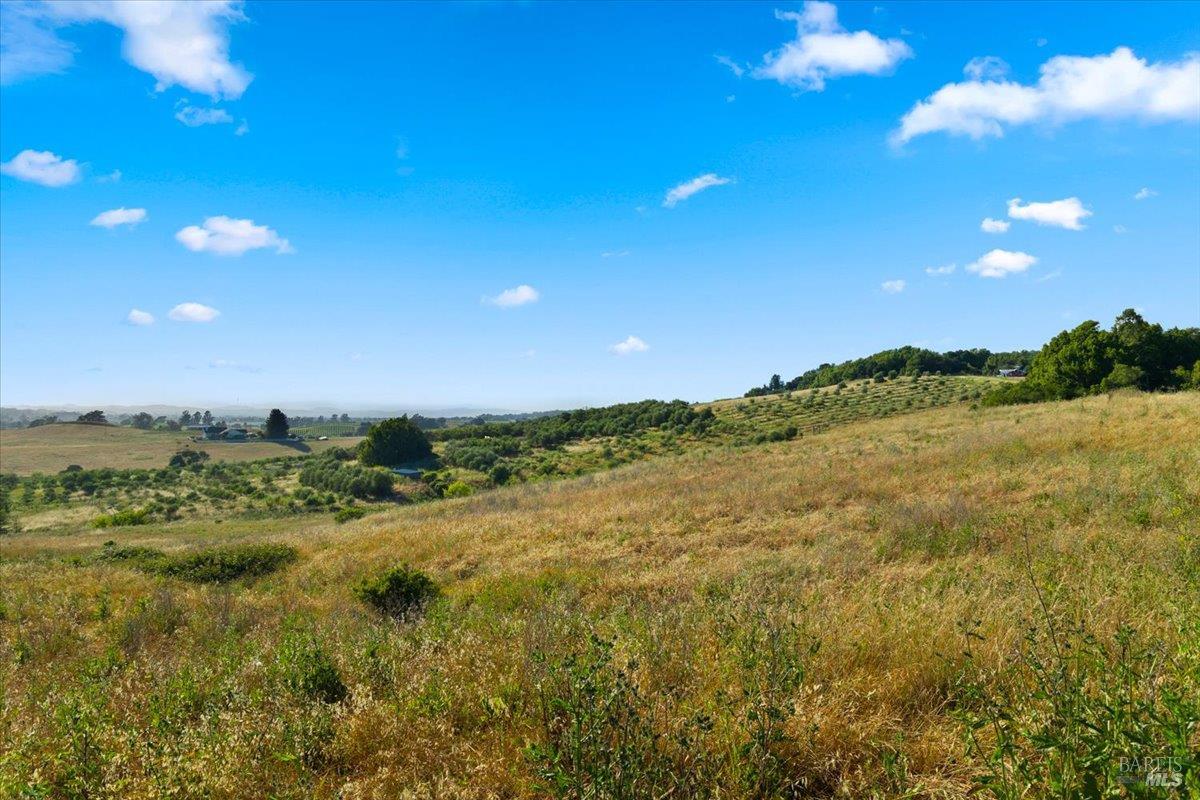 2315 Mountain Ranch Road Petaluma, CA 94954 - Photo 76 of 89