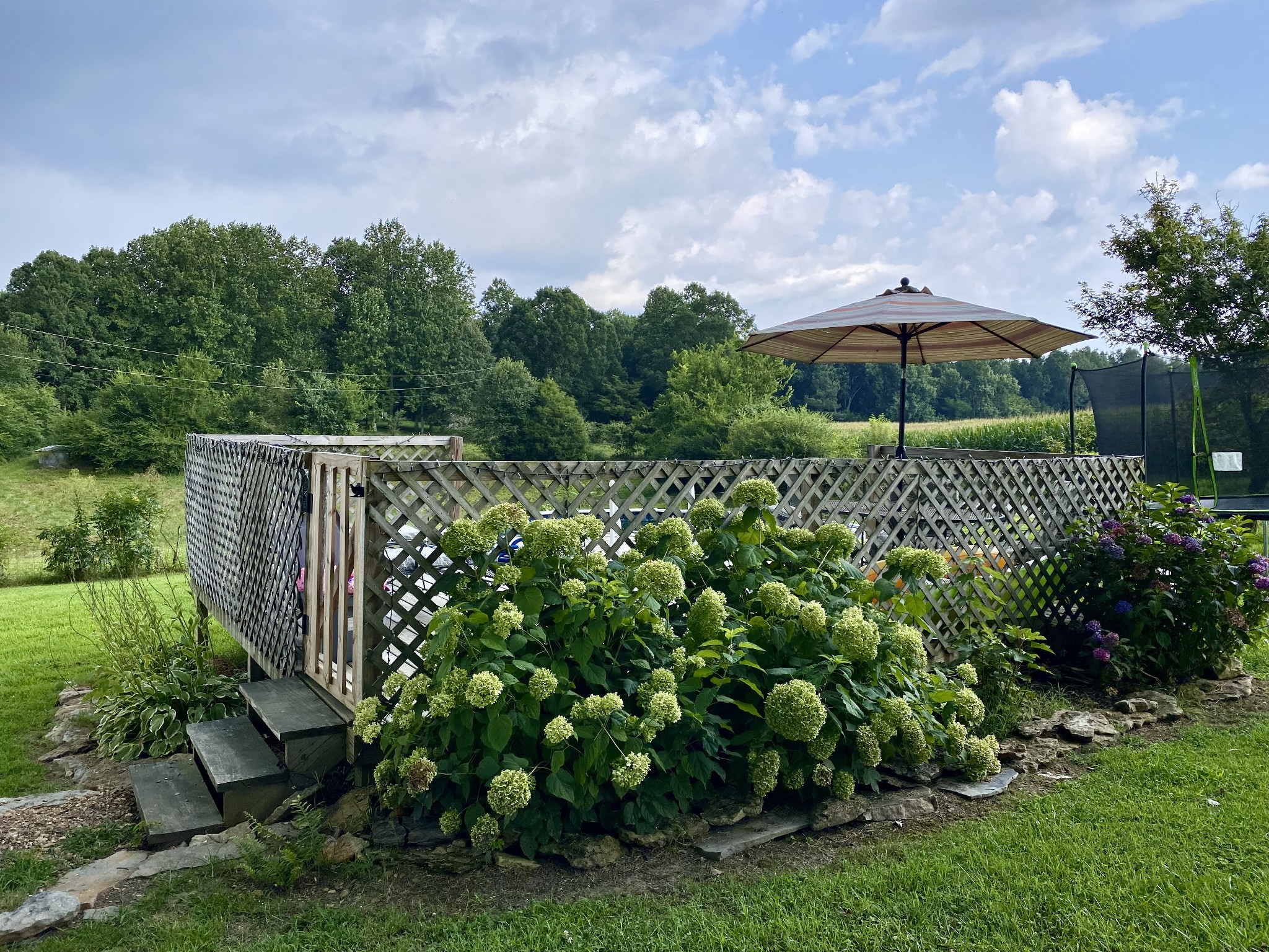 2270 Fall River Road Leoma, TN 38468 - Photo 4 of 27