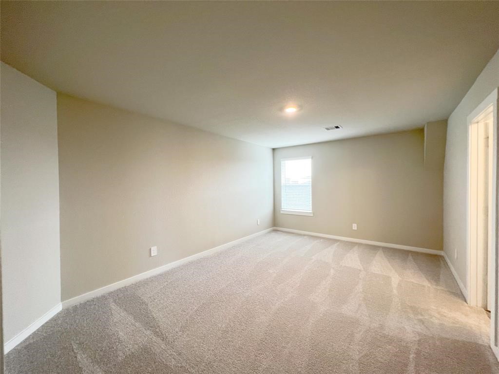 29526 Red Rocks Pk Drive Katy, TX 77494 - Photo 16 of 24