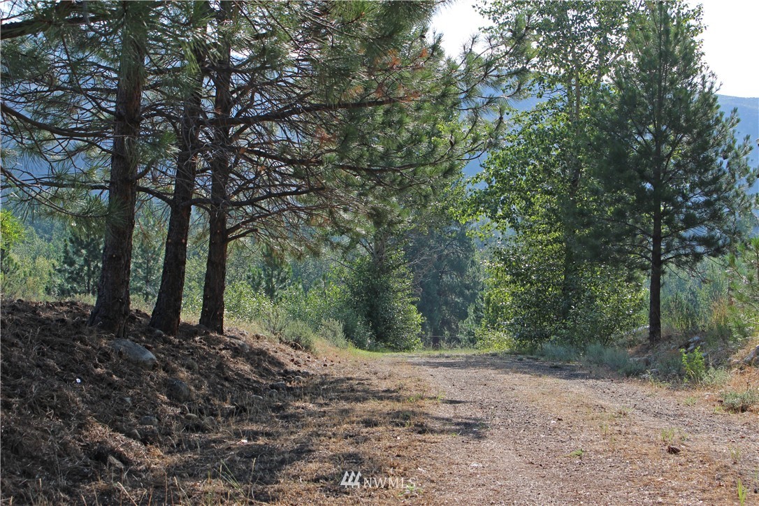 0 West Chewuch Road Winthrop, WA 98862 - Photo 12 of 16 Gallery Image 12