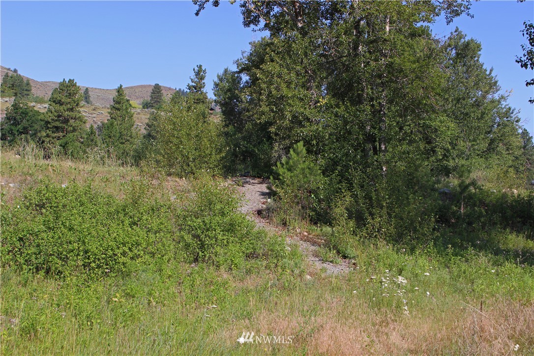 0 West Chewuch Road Winthrop, WA 98862 - Photo 4 of 16 Gallery Image 4