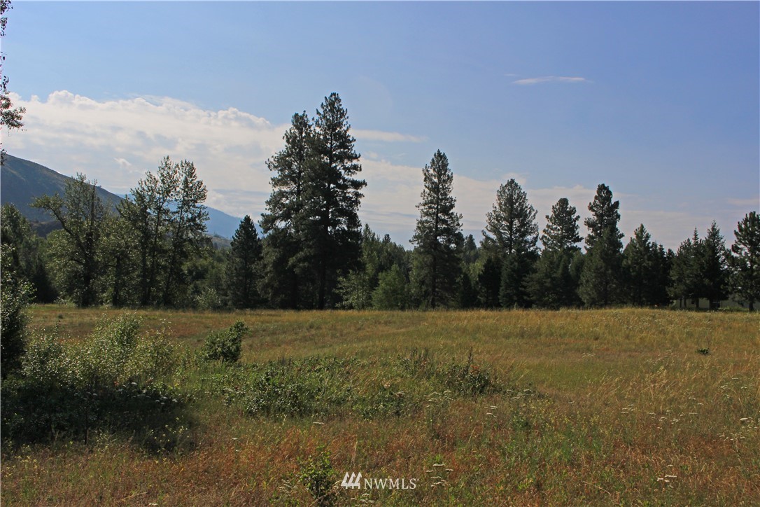 0 West Chewuch Road Winthrop, WA 98862 - Photo 6 of 16 Gallery Image 6