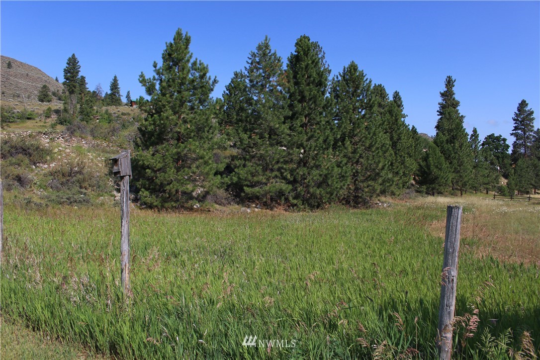 0 West Chewuch Road Winthrop, WA 98862 - Photo 7 of 16 Gallery Image 7