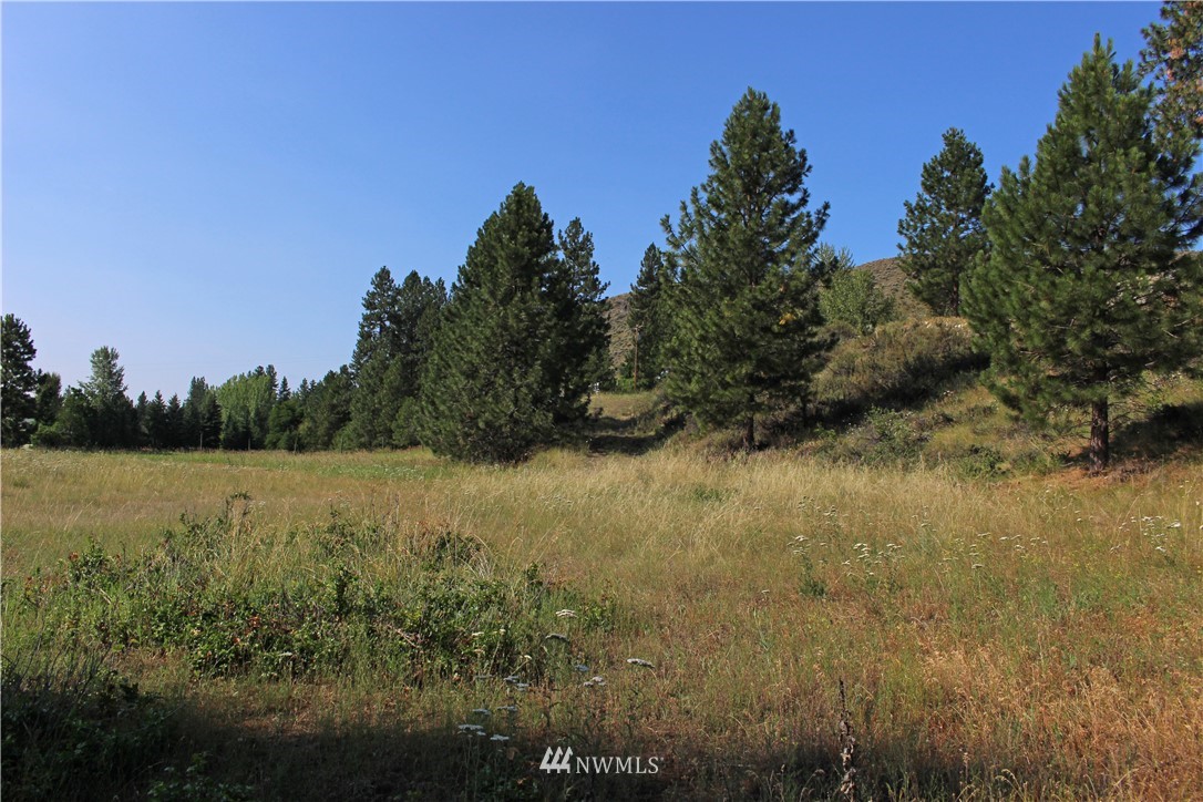 0 West Chewuch Road Winthrop, WA 98862 - Photo 9 of 16 Gallery Image 9