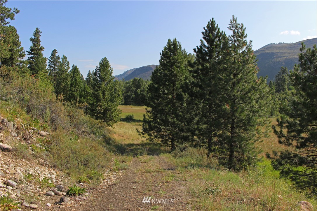 0 West Chewuch Road Winthrop, WA 98862 - Photo 10 of 16 Gallery Image 10