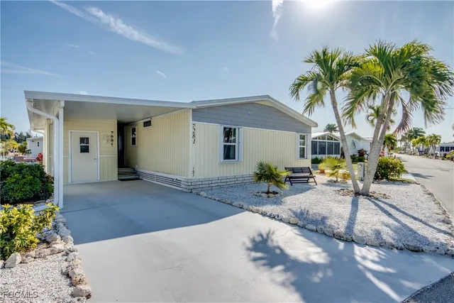 a view of a backyard with plants and palm tree