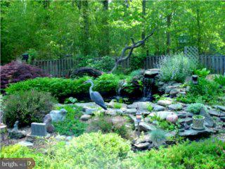 31 Mill Road Shamong, NJ 08088 - Photo 5 of 6