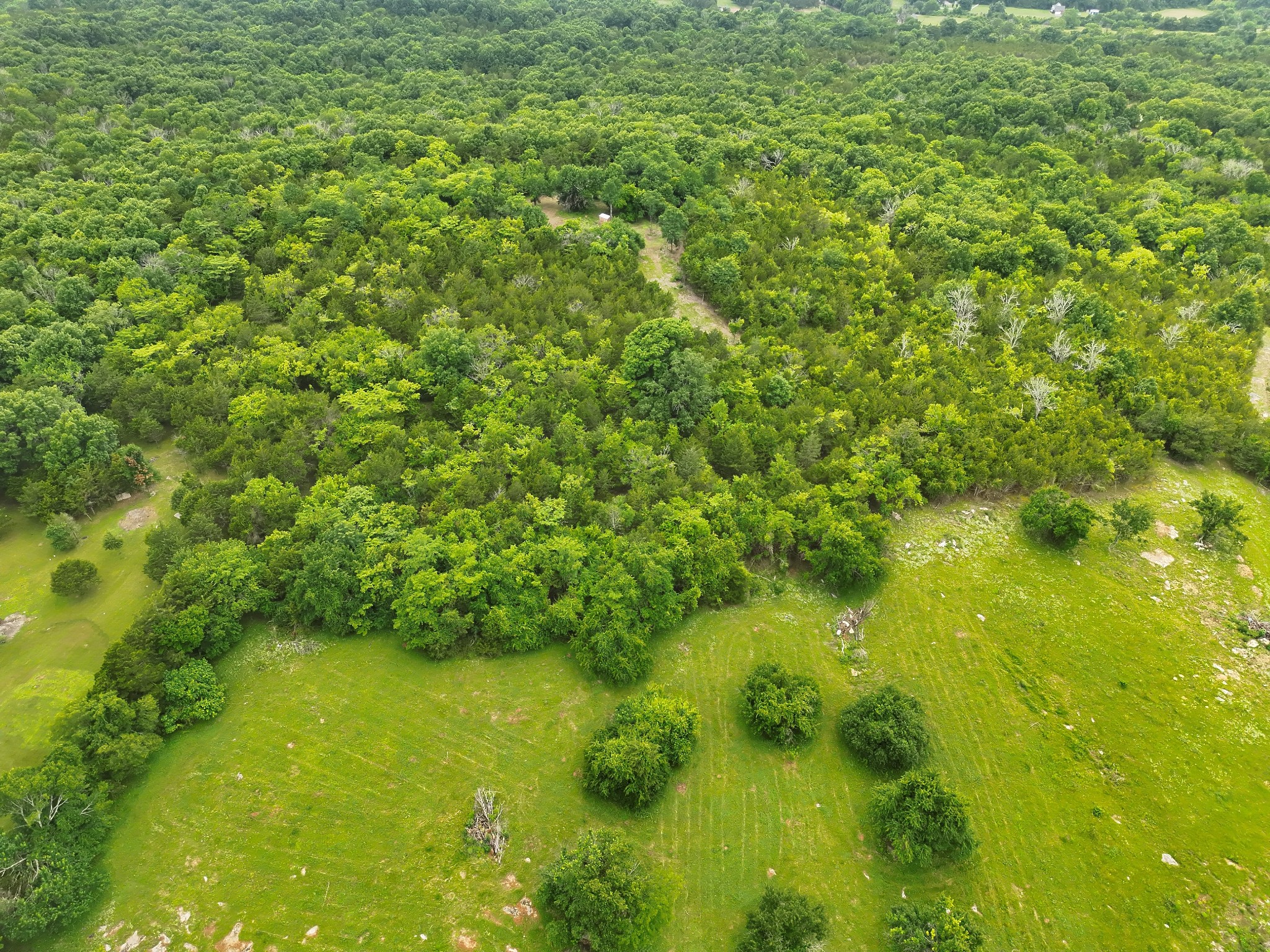 4492 Murray-Kittrell Road Readyville, TN 37149 - Photo 5 of 27
