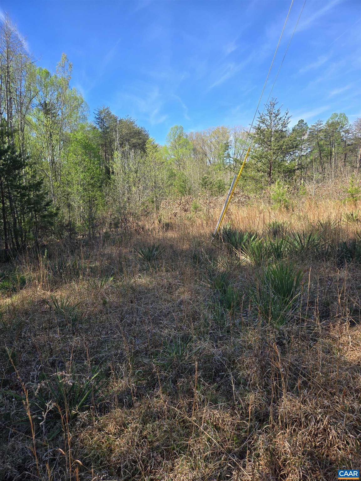 0 Kentucky Springs Road, Unit 9 & 10 Mineral, VA 23117 - Photo 2 of 4