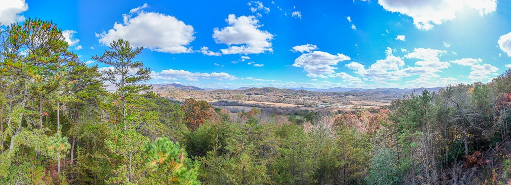 0 Mistletoe Ridge Murphy, NC 28906 - Photo 8 of 34