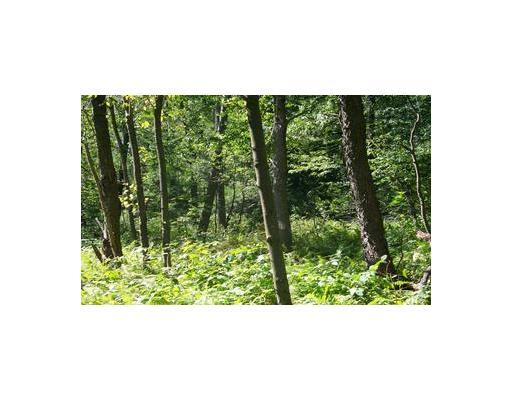 1 Kirk Road Luthersburg, PA 15848 - Photo 3 of 4 Land/Lot.