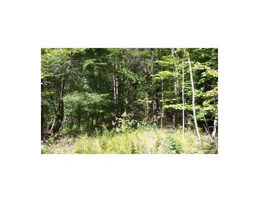 1 Kirk Road Luthersburg, PA 15848 - Photo 4 of 4 Land/Lot.