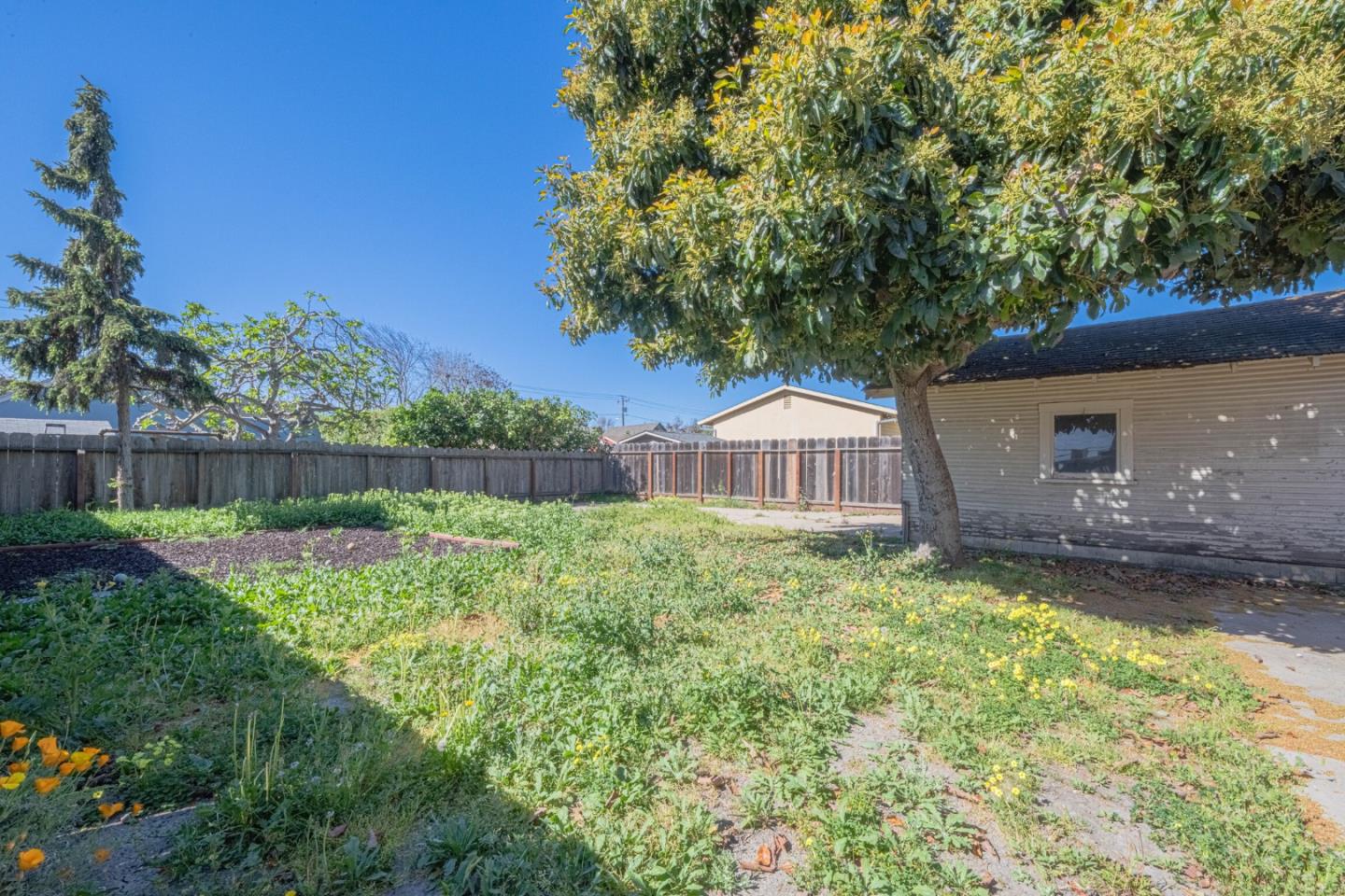 40 Oak Street Salinas, CA 93901 - Photo 28 of 28 a view of a back yard of the house