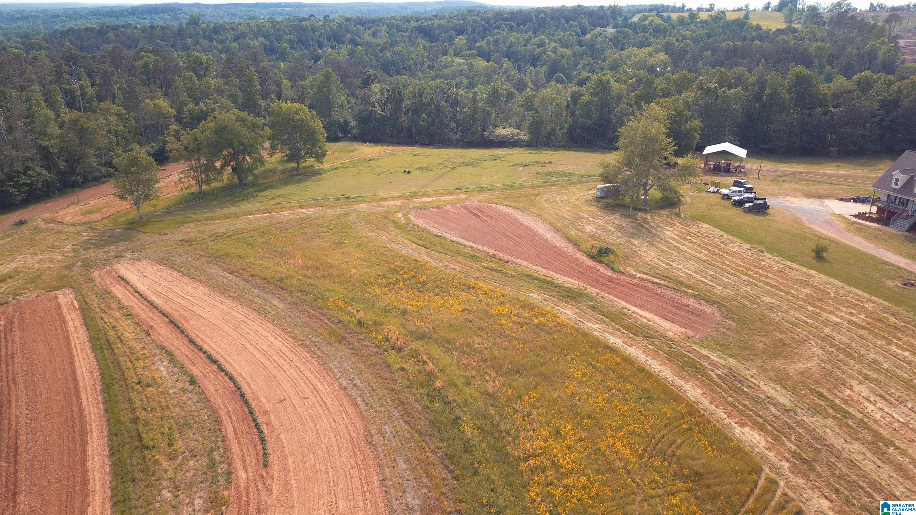 565 Rb Shadrix Road Hayden, AL 35079 - Photo 3 of 49