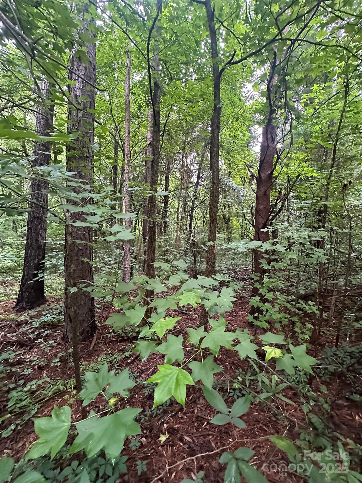 0 Stonegate Road Monroe, NC 28110 - Photo 4 of 5 Gallery Image 4