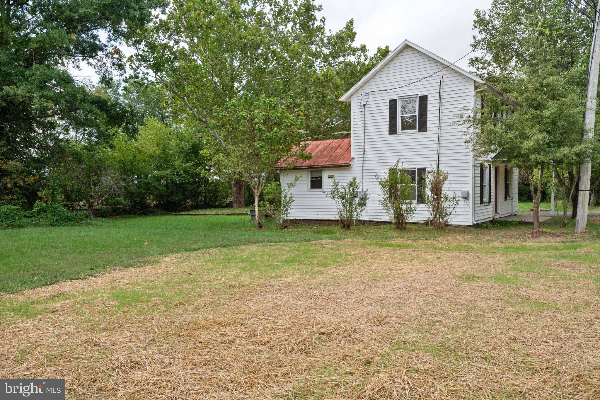 Side yard
