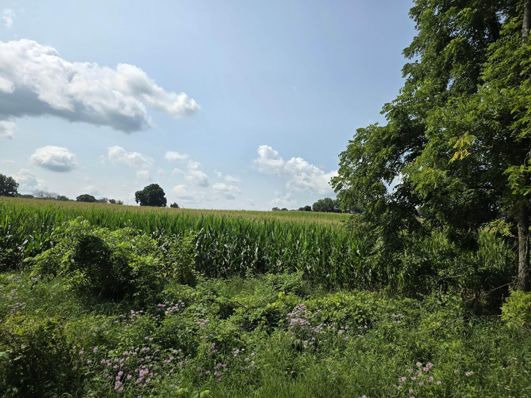 13 Mile Road Tekonsha, MI 49092 - Photo 1 of 25 0b4df7f8-35e8-49b0-b70c-36d5451ccc6b
