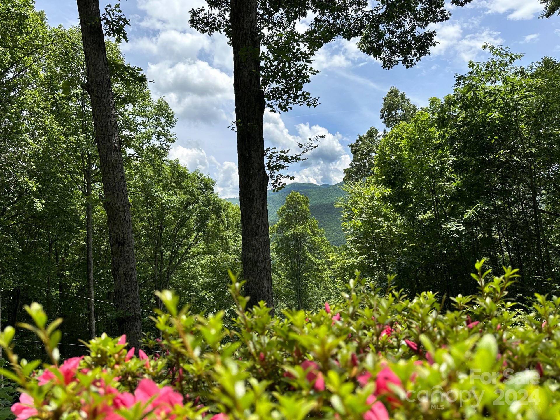 939 Timbuktu Road Sylva, NC 28779 - Photo 27 of 27 Gallery Image 27