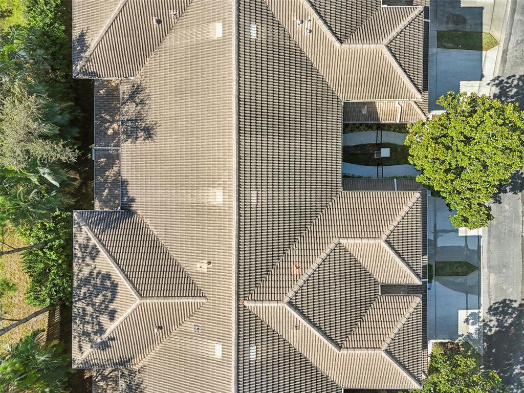 13207 San Blas Loop Largo, FL 33774 - Photo 41 of 69