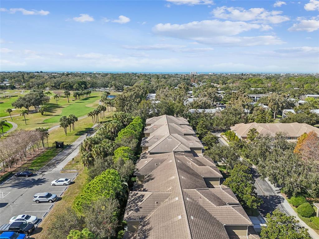 13207 San Blas Loop Largo, FL 33774 - Photo 44 of 69