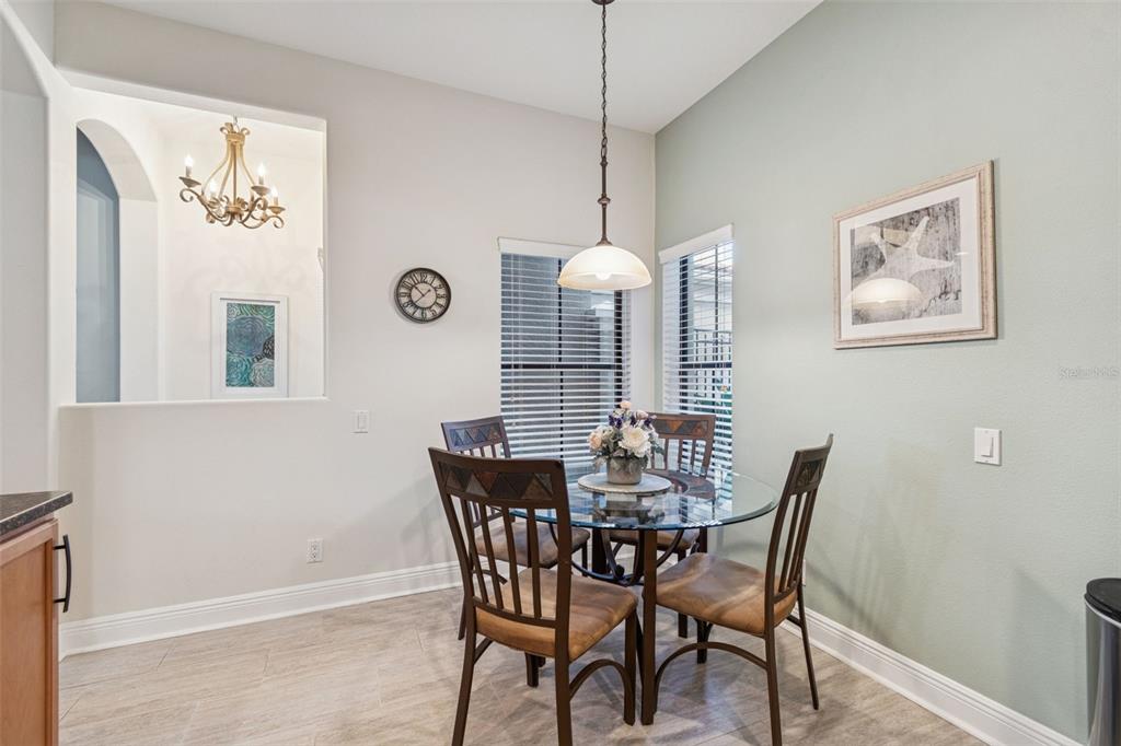 13207 San Blas Loop Largo, FL 33774 - Photo 54 of 69