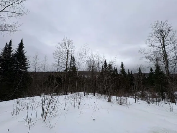 $99,000 | 1974 The Bend Road, Greensboro, VT 05841