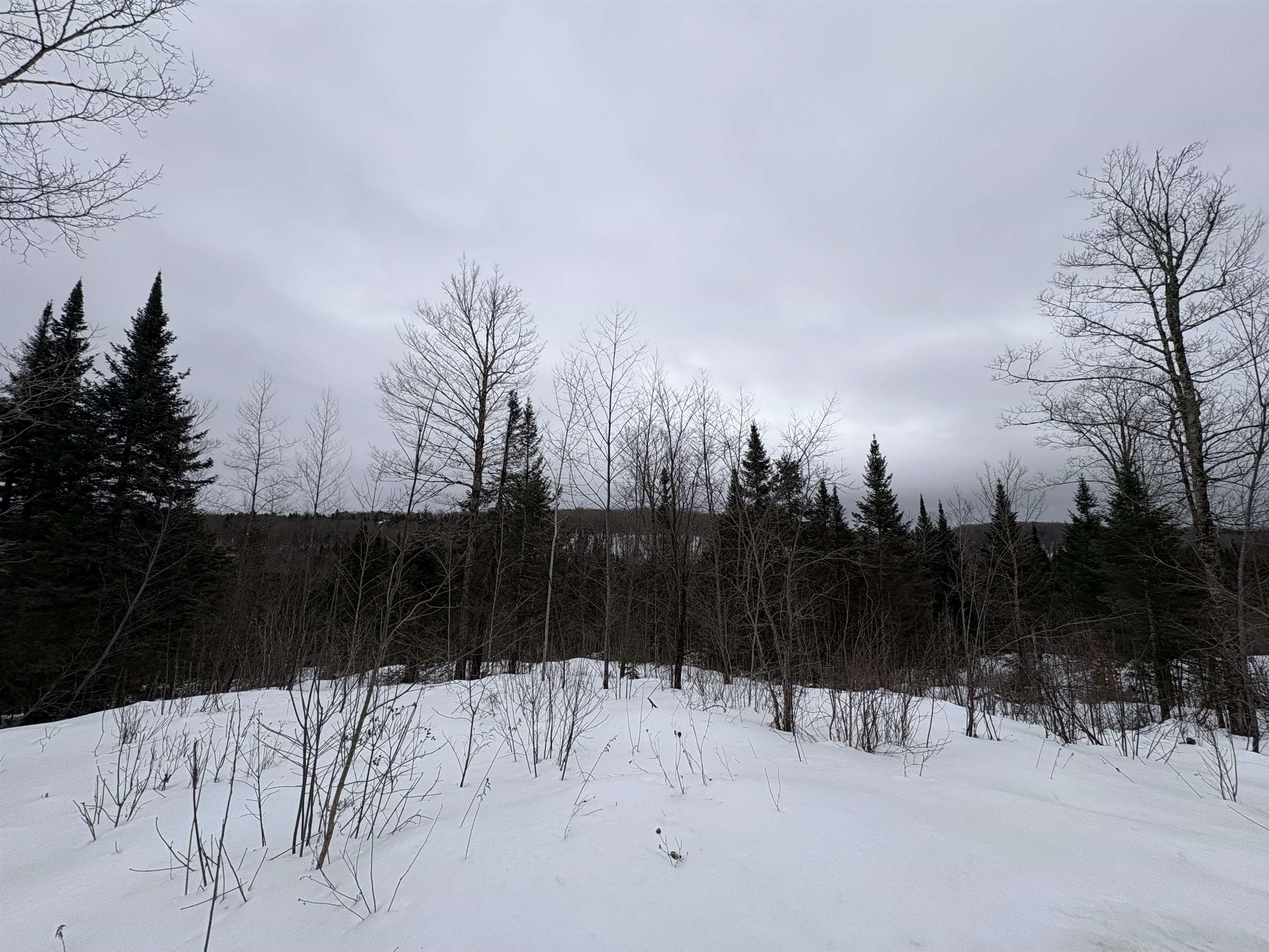 1974 The Bend Road Greensboro, VT 05841 - Photo 11 of 14