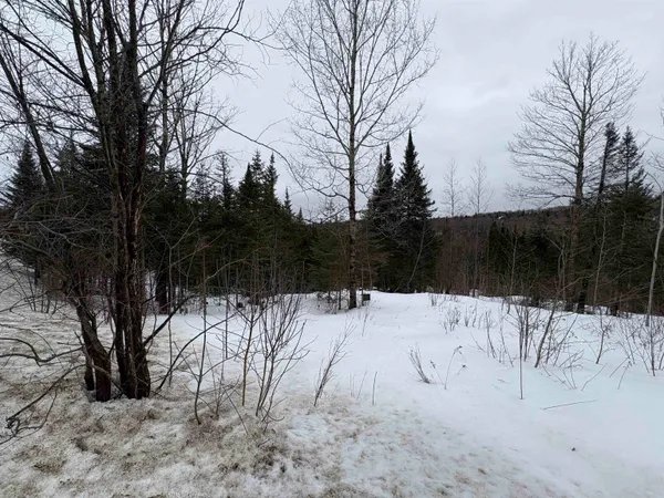 $99,000 | 1974 The Bend Road, Greensboro, VT 05841