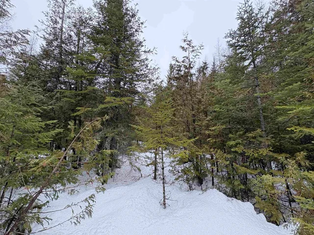 $99,000 | 1974 The Bend Road, Greensboro, VT 05841