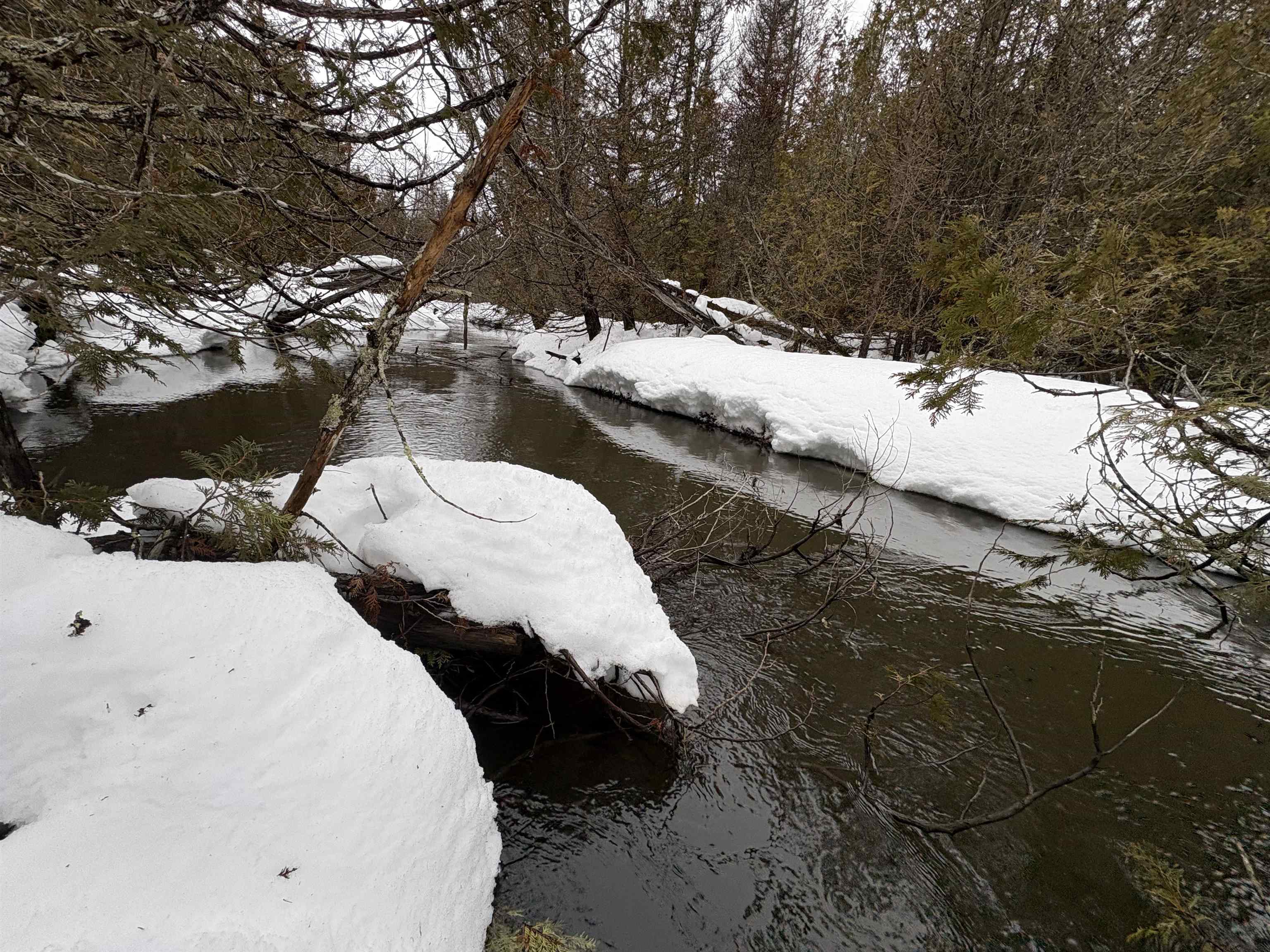 1974 The Bend Road Greensboro, VT 05841 - Photo 4 of 14