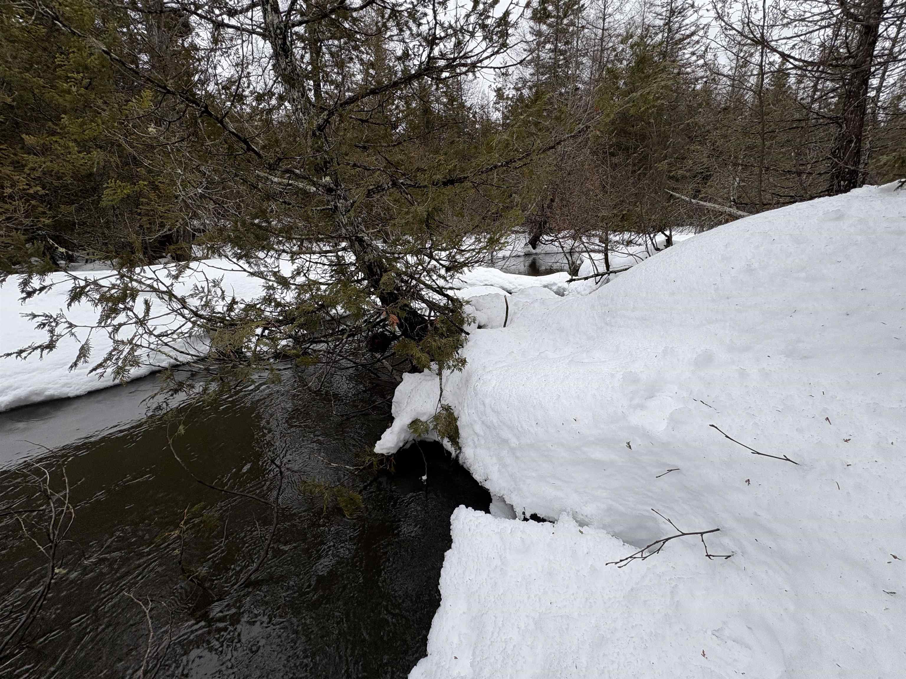 1974 The Bend Road Greensboro, VT 05841 - Photo 5 of 14