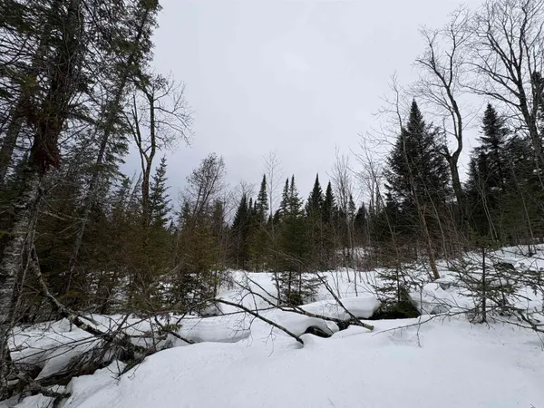 $99,000 | 1974 The Bend Road, Greensboro, VT 05841