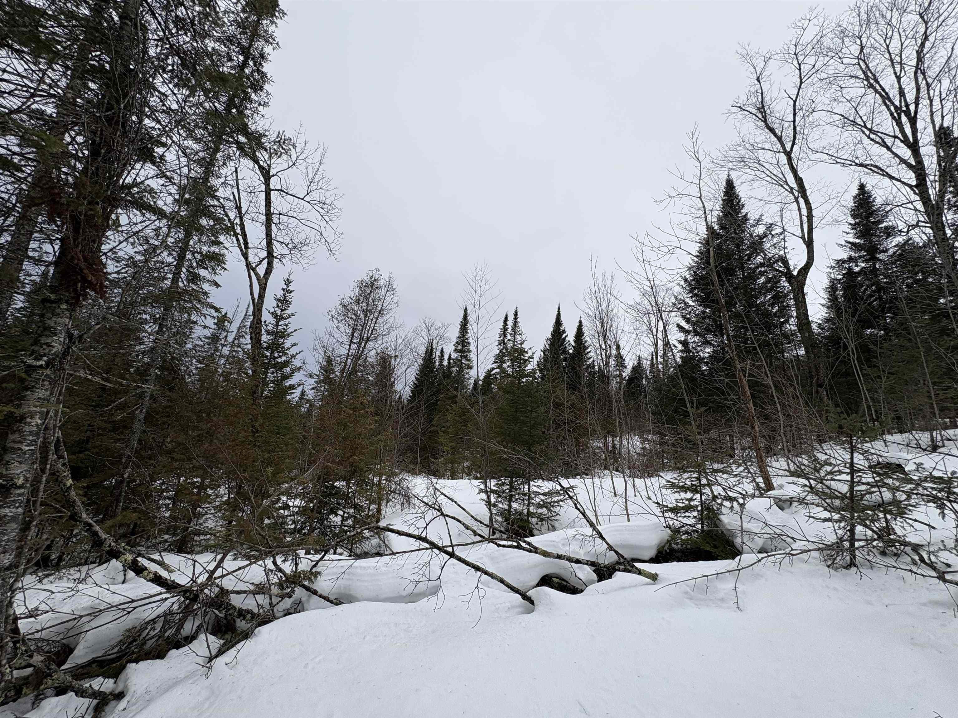 1974 The Bend Road Greensboro, VT 05841 - Photo 6 of 14