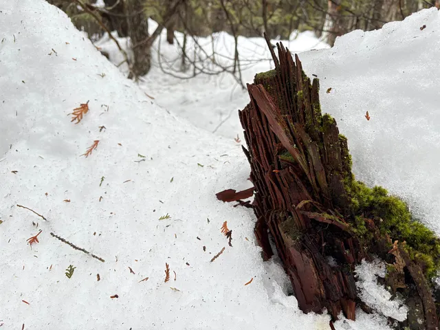 $99,000 | 1974 The Bend Road, Greensboro, VT 05841