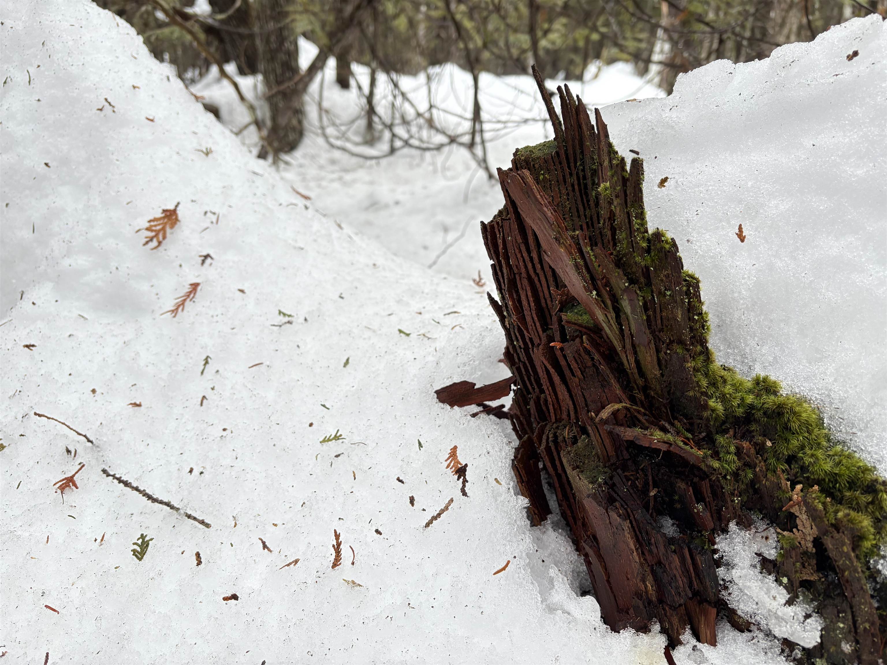 1974 The Bend Road Greensboro, VT 05841 - Photo 7 of 14